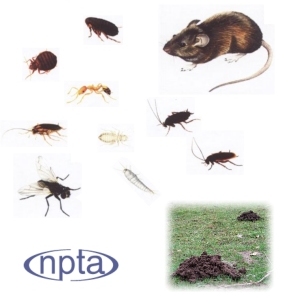 Pests we control and NPTA link.